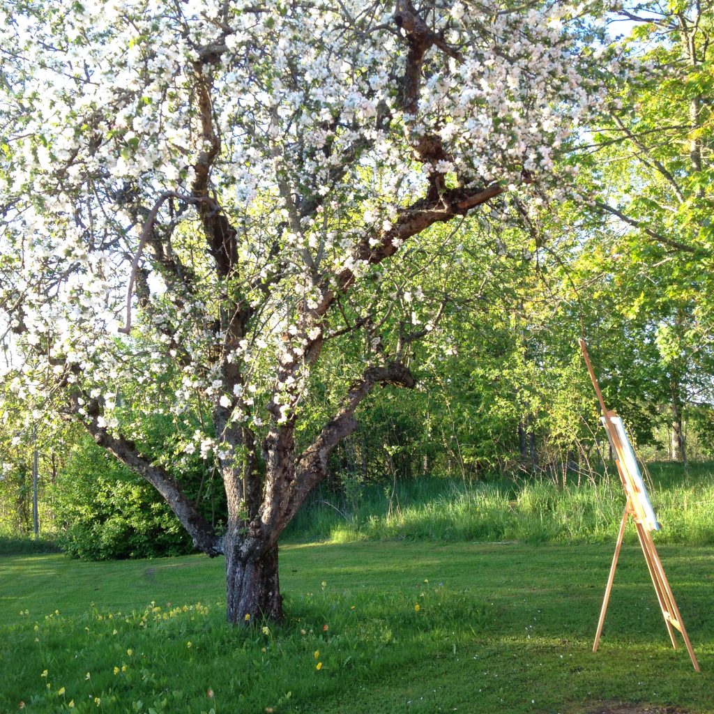 Staffli framför träd